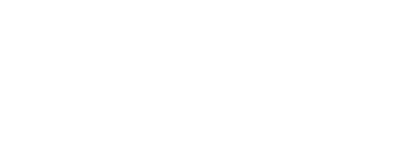 Navigere Logo White